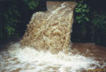 Ein kleiner Bach im Schwarzwald kann nach ausgiebigen Regenfällen im Mai 2002 doch ganz viel Wasser Führen