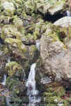 Kandel_Wasserfall.jpg (81745 Byte)