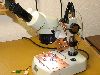 Mikroskop Leuchtdioden Lampe