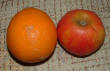 Orangen und Äpfel