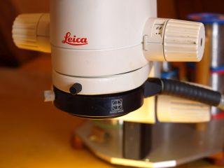Mikroscope